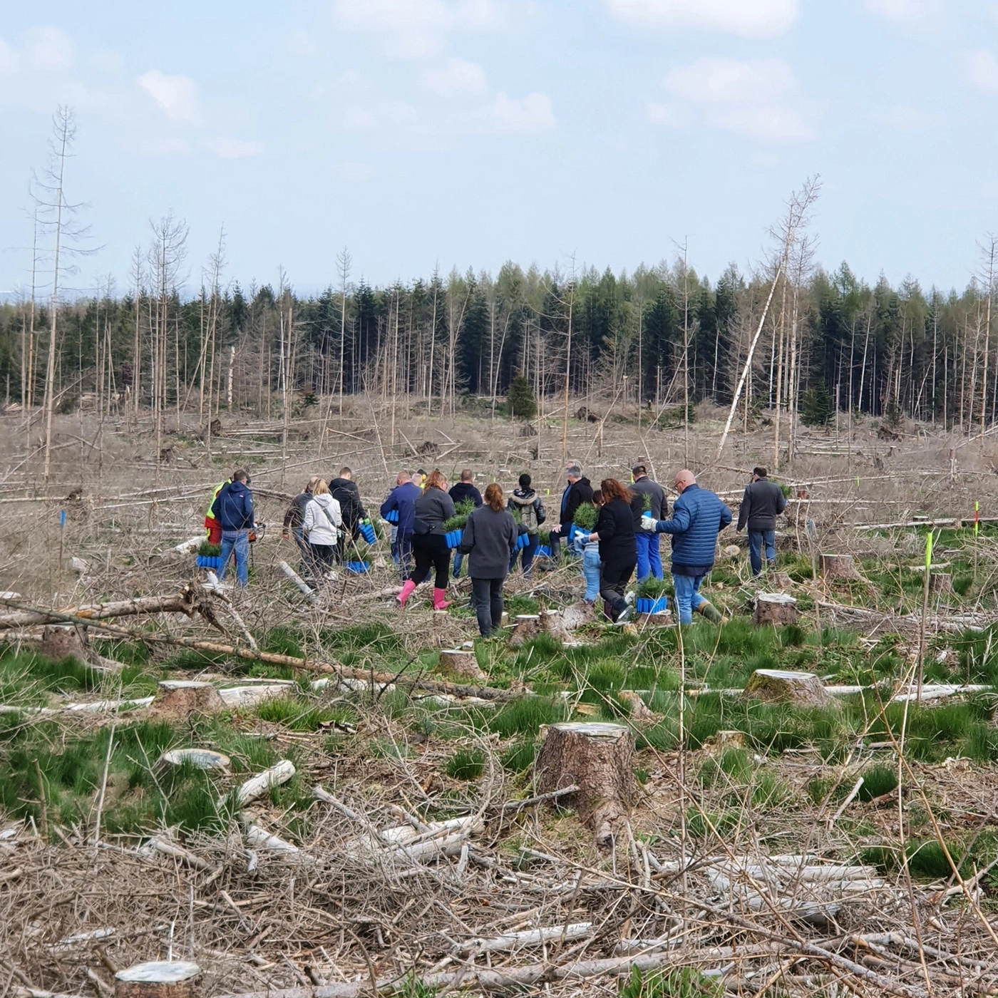 Groupe de personnes plantant des arbres dans une zone déboisée, action environnementale